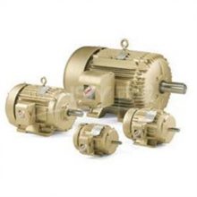 美國(guó)BRAY蝶閥