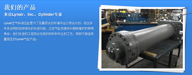 美國Pearson傳感器原裝