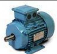 美國C.E. Niehoff電機