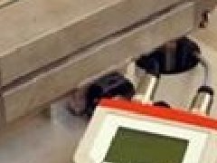 德國(guó)MESOMATIC顯示器